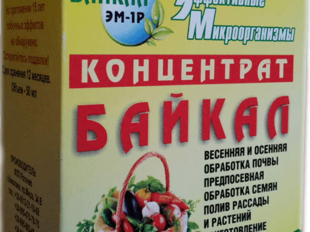 Байкал ЭМ
