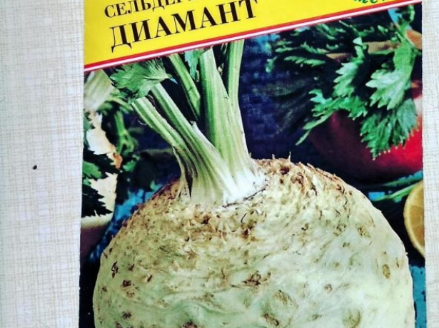 сельдерей диамант