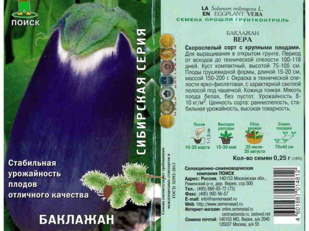 баклажан Вера