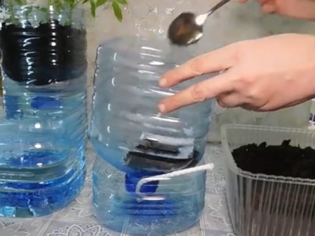 Заполнение бутыли посадочным грунтом