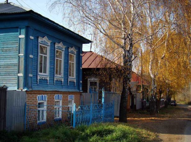 береза возле дома