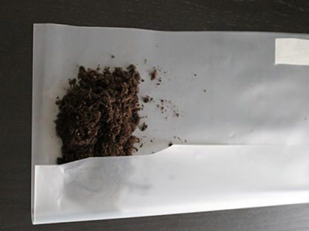 Грунт в плёнке