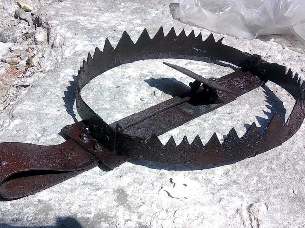 Капкан на садовом участке