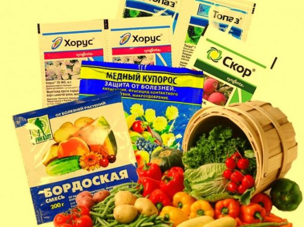 Разные фунгициды