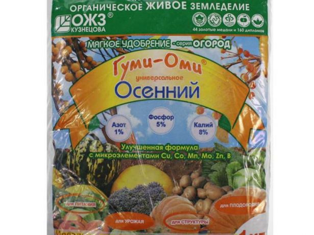 Гуми-Оми Осенний от ОЖЗ Кузнецова