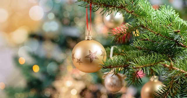 Как ухаживать за новогодней елью дома Как ухаживать за новогодней елью дома