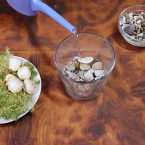 Налейте в вазу воду так, чтобы камни были слегка покрыты водой Налейте в вазу воду так, чтобы камни были слегка покрыты водой