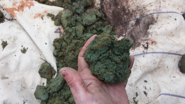 Глауконит служит полностью натуральным источником медленно высвобождающегося калия Глауконит служит полностью натуральным источником медленно высвобождающегося калия