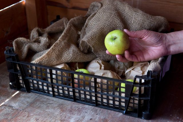 Нельзя мять или повреждать яблоки. Нельзя мять или повреждать яблоки.