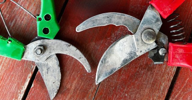 Если на инструменте остались следы ржавчины, повторите процесс нанесения средства до полного удаления коррозии. Если на инструменте остались следы ржавчины, повторите процесс нанесения средства до полного удаления коррозии.