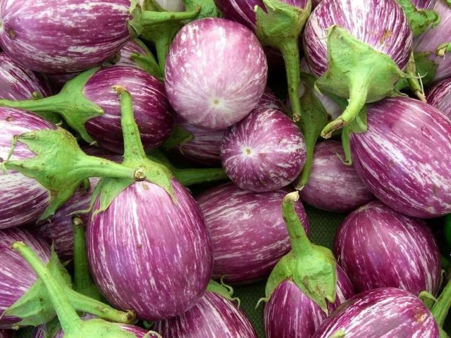 Баклажан «Матросик» среднего срока созревания Баклажан «Матросик» среднего срока созревания