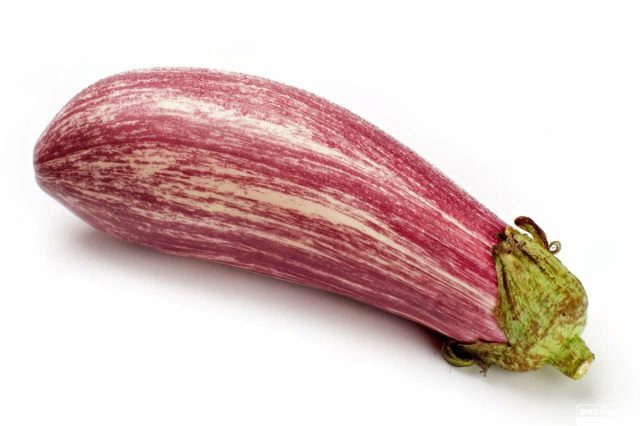 Среднеспелый сорт баклажанов «Полосатый рейс» фиолетового цвета с частыми белыми полосками Среднеспелый сорт баклажанов «Полосатый рейс» фиолетового цвета с частыми белыми полосками