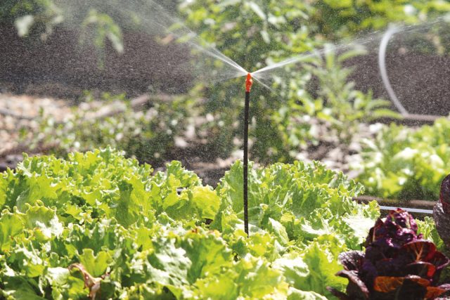 Преимущества систем автополива: увеличиваем урожайность и экономим воду