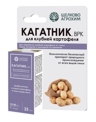 Многие дачники уже применяли системный фунгицид «Кагатник, ВРК» от «Щёлково Агрохим» и добились отличных результатов при хранении картофеля. Многие дачники уже применяли системный фунгицид «Кагатник, ВРК» от «Щёлково Агрохим» и добились отличных результатов при хранении картофеля.